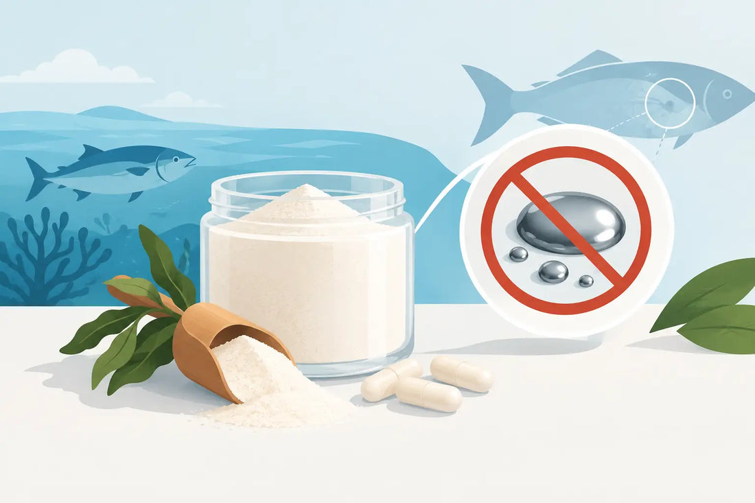Does Marine Collagen Contain Mercury? What to Know