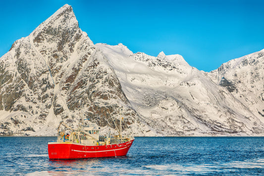 Do Collagen Supplements Really Work?