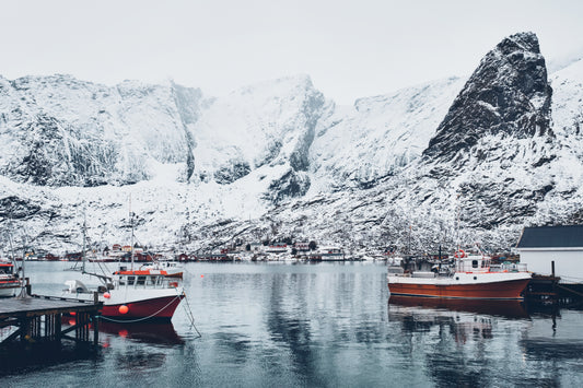 Marine Collagen sourced in arctic waters, hydrolyzed in Norway